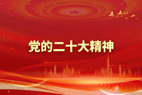 党的二十大精神