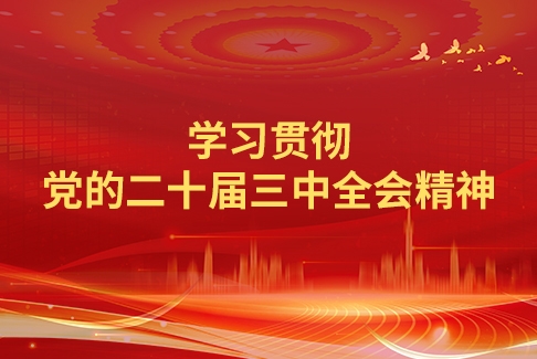 学习贯彻党的二十届三中全会精神