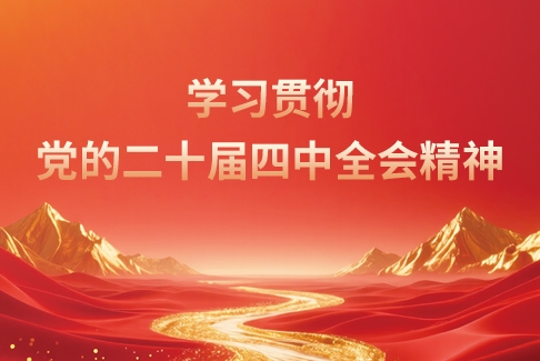 学习贯彻党的二十届四中全会精神